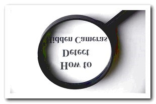 Hidden Camera Online Order